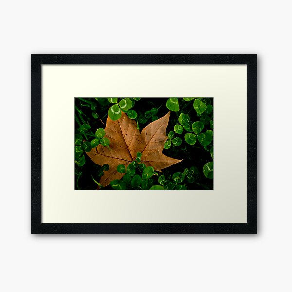 Item preview, 245 - 365  Clovers  designed and sold by Nina  Matthews Photography.