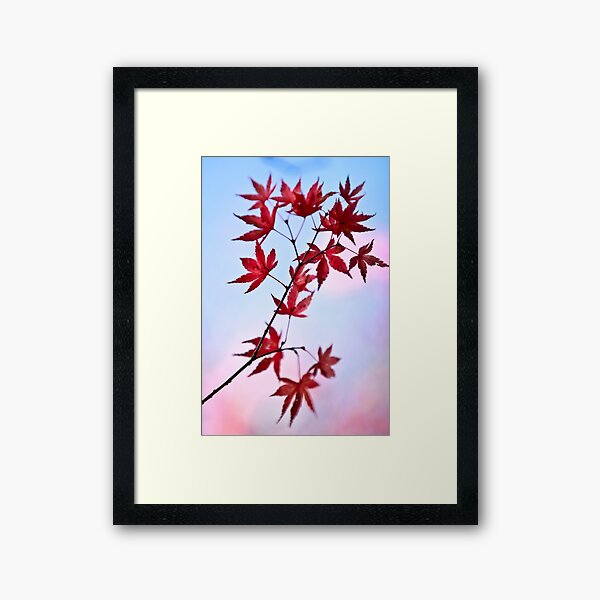 Item preview, 258 - 365  designed and sold by Nina  Matthews Photography.