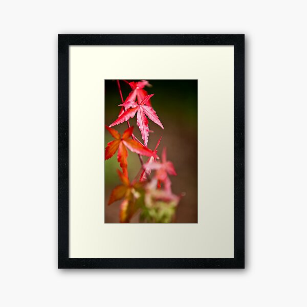 Item preview, Day 297 - 365  designed and sold by Nina  Matthews Photography.