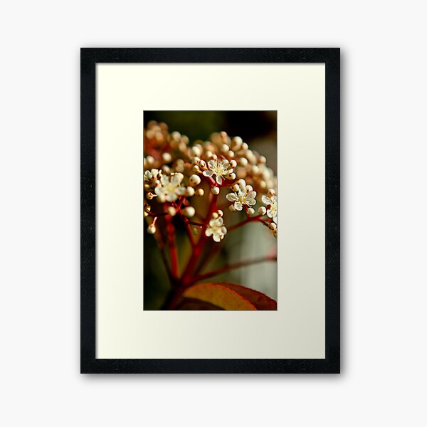 Item preview, DOF  designed and sold by Nina  Matthews Photography.