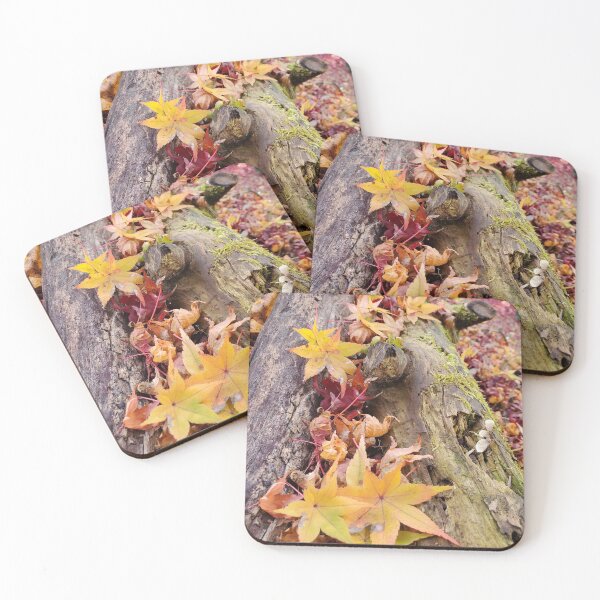 Item preview, Fallen leaves and fallen trees designed and sold by ChatStroh.