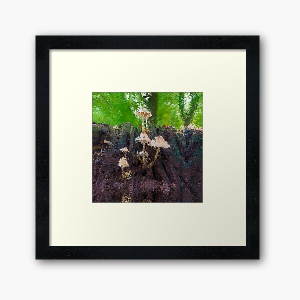 Dissolution 16 Framed Art Print