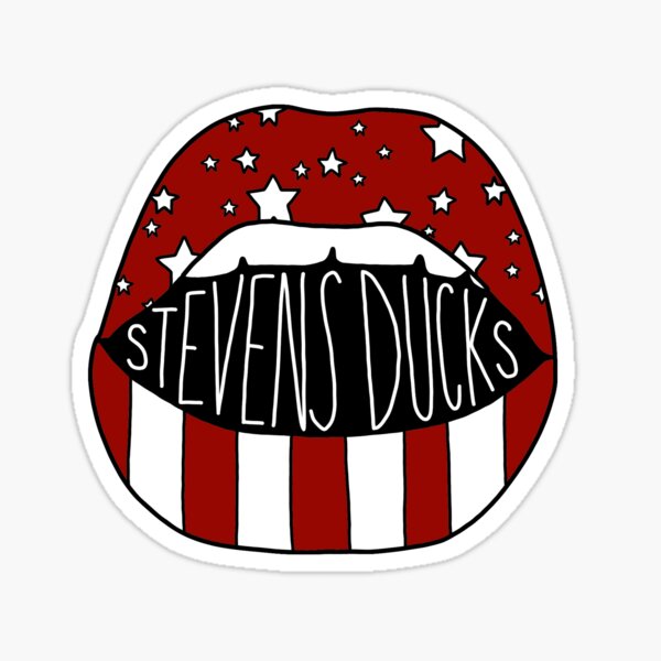 stevens institute of technology moletom com capuz