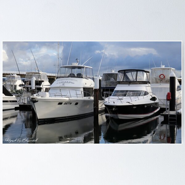 Item preview, Boats Forster 18 designed and sold by kevin Chippindall.
