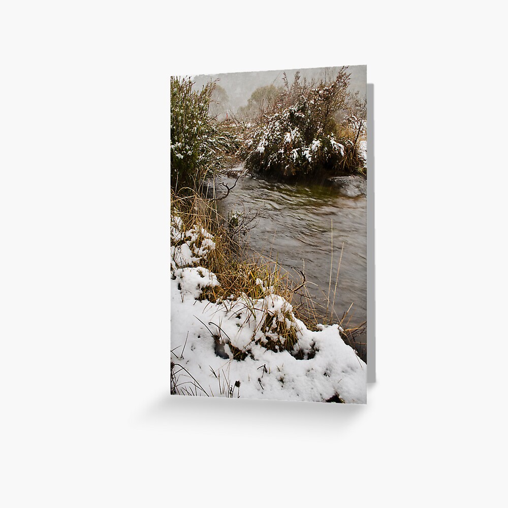 Item preview, Greeting Card designed and sold by KateWall28.