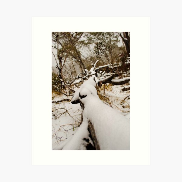 Item preview, Snow on the Gum Trees designed and sold by Kate Wall.