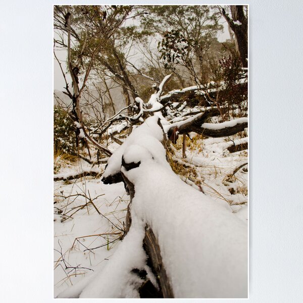 Item preview, Snow on the Gum Trees designed and sold by Kate Wall.