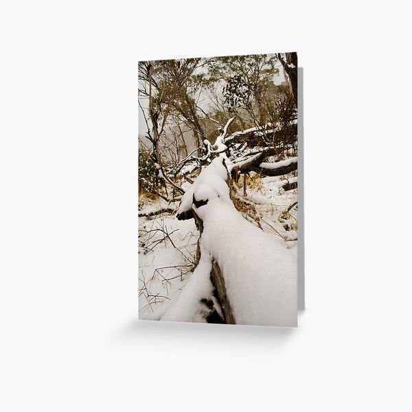 Item preview, Snow on the Gum Trees designed and sold by Kate Wall.