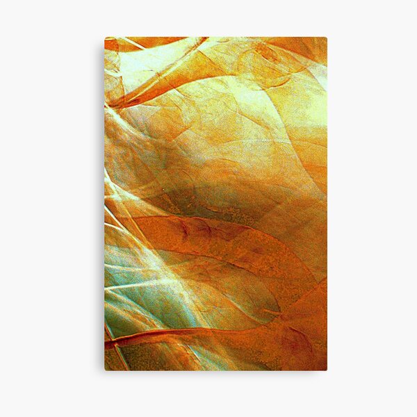 Unchained Illusion Canvas Print