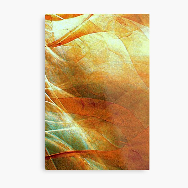 Unchained Illusion Metal Print