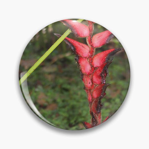 Item preview, An Exotic Heliconia designed and sold by Carole-Anne.