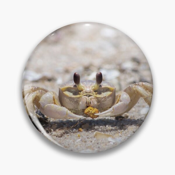 Item preview, Cute Hungry Crab designed and sold by EugeniART.