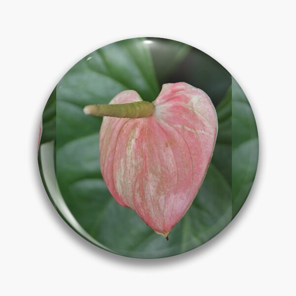 Item preview, Anthurium designed and sold by Carole-Anne.
