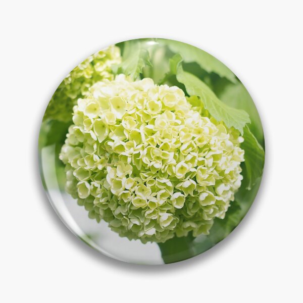 Artikelvorschau, Frühlingshortensie entworfen und verkauft von EugeniART.