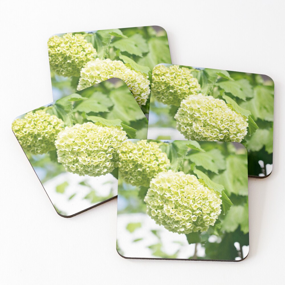 Item preview, Coasters (Set of 4) designed and sold by EugeniART.