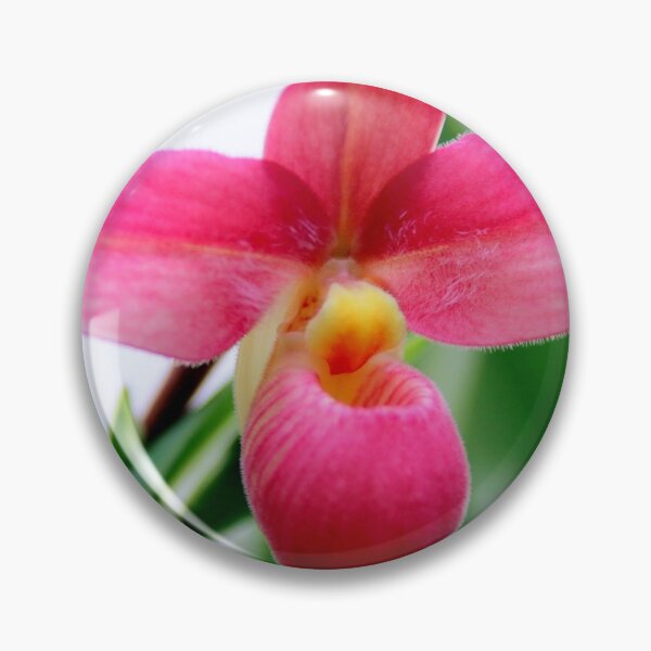 Artikelvorschau, Perfekt Rosa entworfen und verkauft von Michael May.