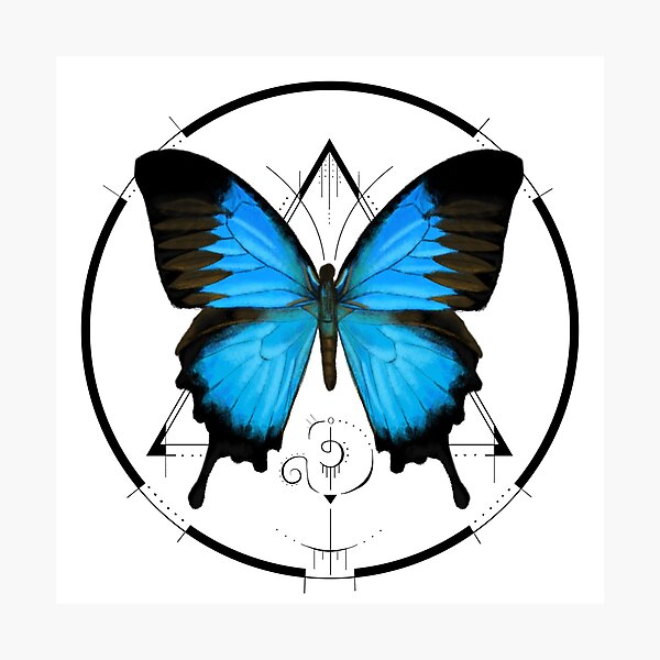 Butterfly Effect Photographic Print