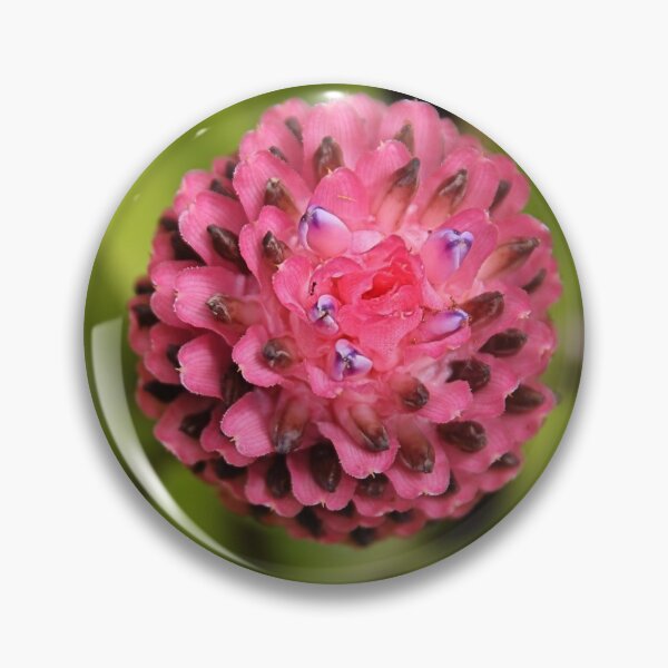 Item preview, Bromeliad designed and sold by Carole-Anne.
