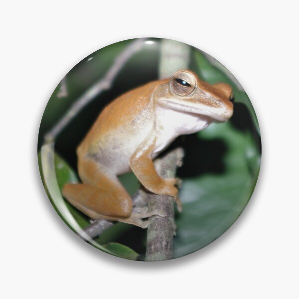Item preview, Four-lined Tree Frog designed and sold by Steven Allain.