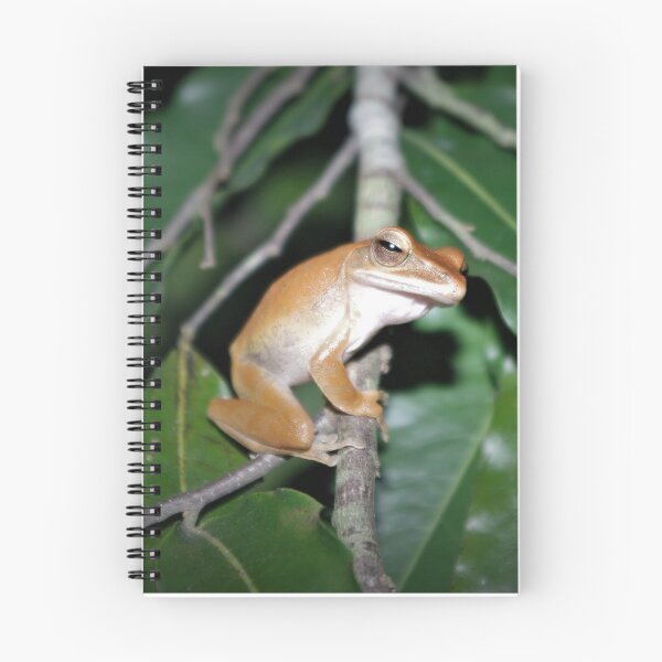 Item preview, Four-lined Tree Frog designed and sold by Steven Allain.