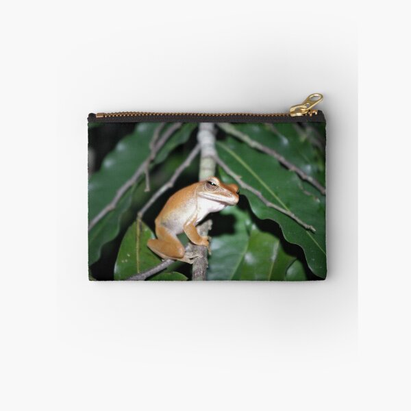 Item preview, Four-lined Tree Frog designed and sold by Steven Allain.