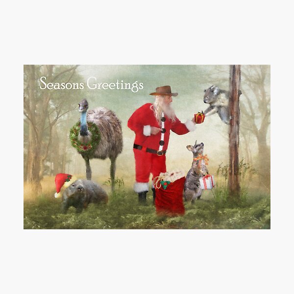 Aussie Bush Christmas Photographic Print