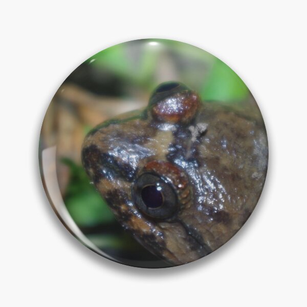 Item preview, Large-headed Frog designed and sold by Steven Allain.