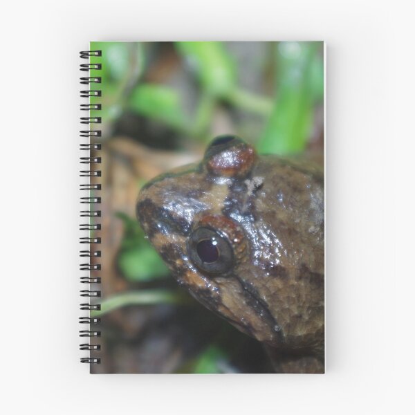 Item preview, Large-headed Frog designed and sold by Steven Allain.