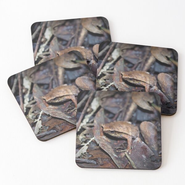 Item preview, Balu Sticky Frog designed and sold by Steven Allain.
