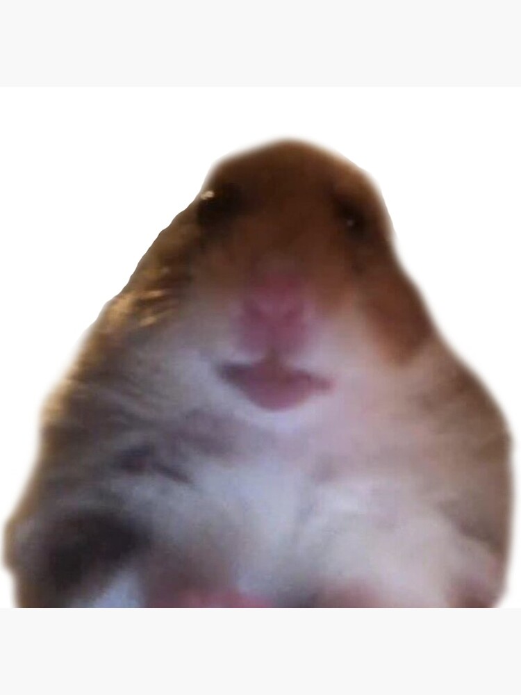 Hamster Facetime Meme Postcard By Antisold Redbubble