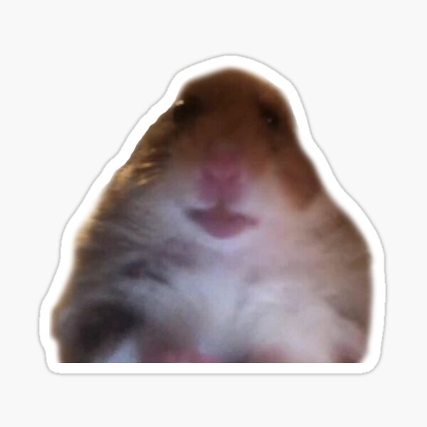 Hamster Facetime Meme Stickers Redbubble