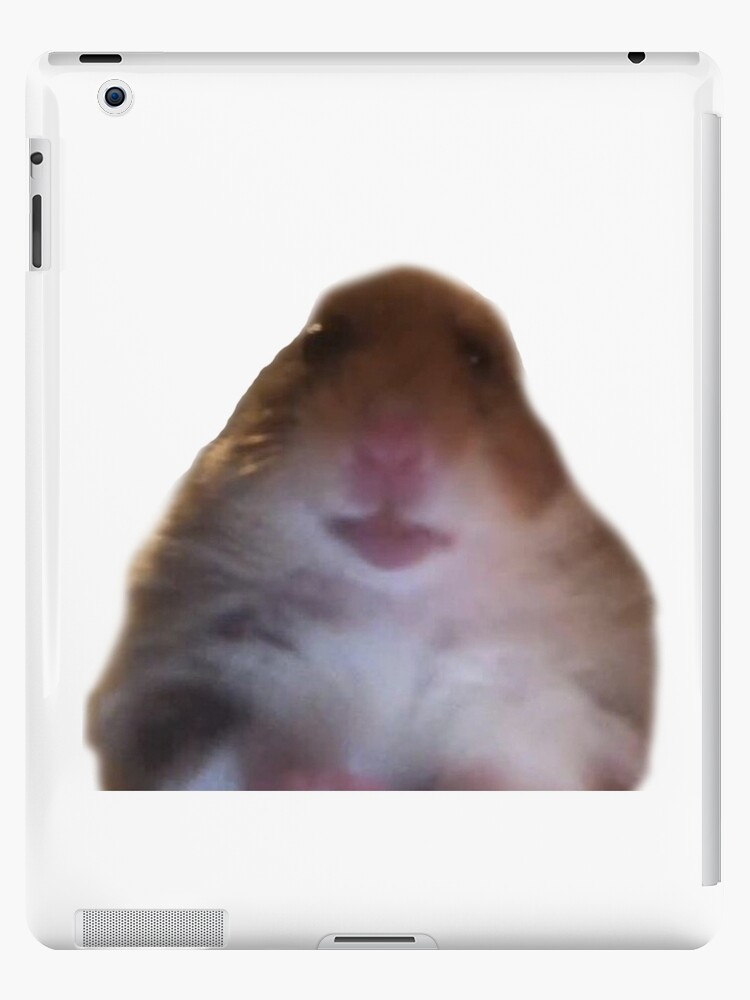 The Best 23 Facetime Hamster Picture Meme - Childviralinterests