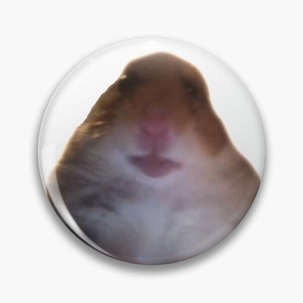 Item preview, Hamster Facetime Meme designed and sold by antisold.