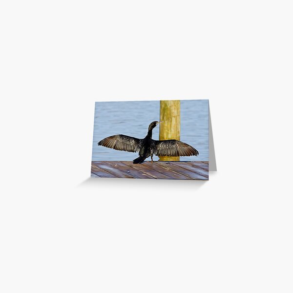 Cormorant Greeting Card