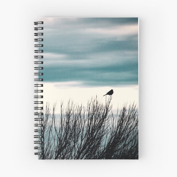 Item preview, Little Bird, Bird Art, Bird Photography designed and sold by TKIphotography.
