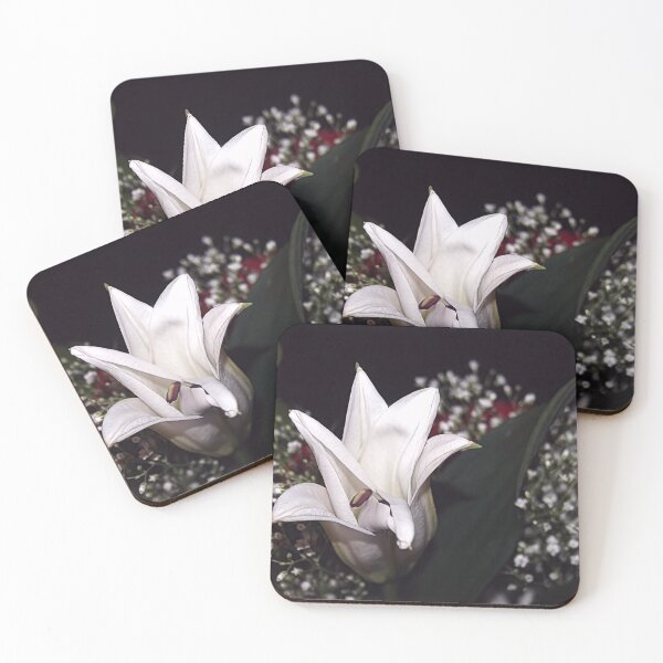 Item preview, OPENING designed and sold by BOLLA67.