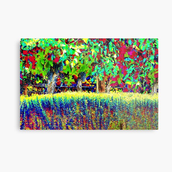 Vineyard Art, Colourful Graphic Metal Print