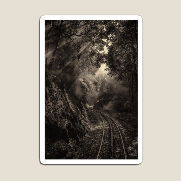 Steam and rainforest Magnet