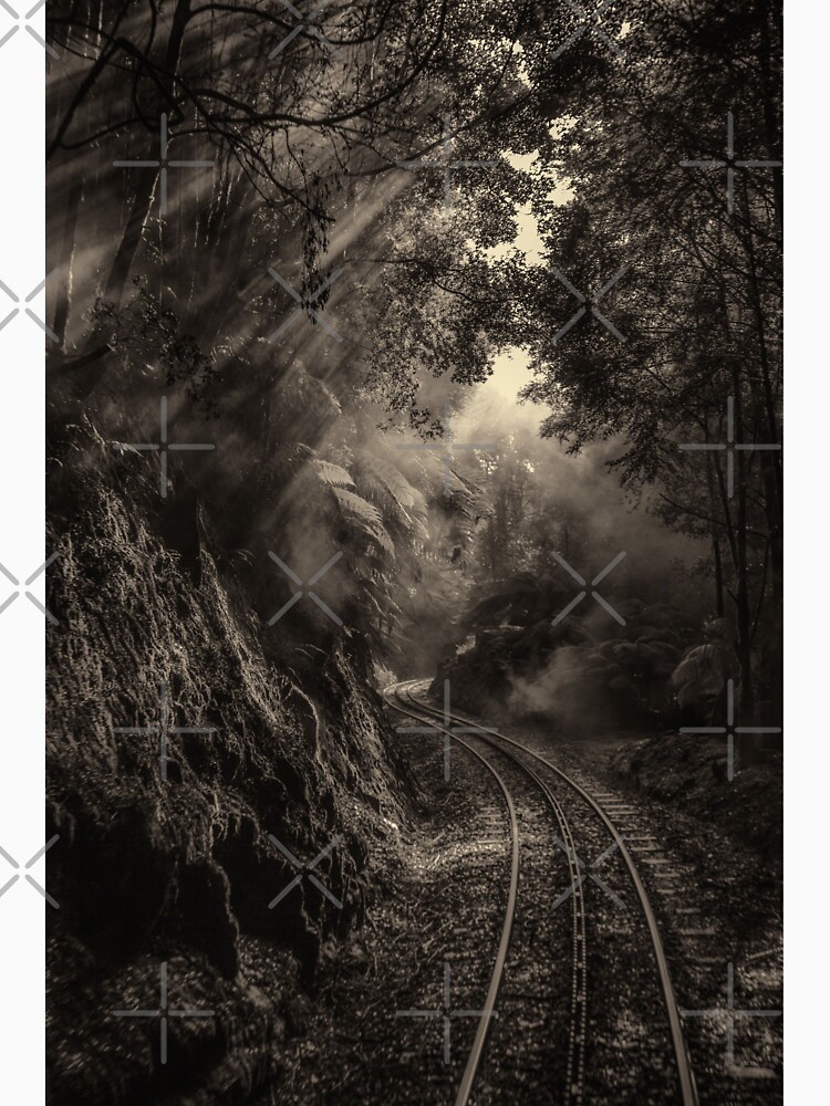 Steam and rainforest by MelBrackstone