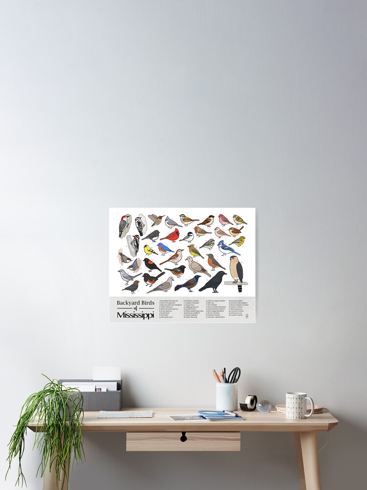 Thumbnail 2 of 3, Poster, Mississippi - Backyard Birds of Mississippi Field Guide Print - Bird Art Print - BirdsandFriends.co designed and sold by BirdsandFriends.