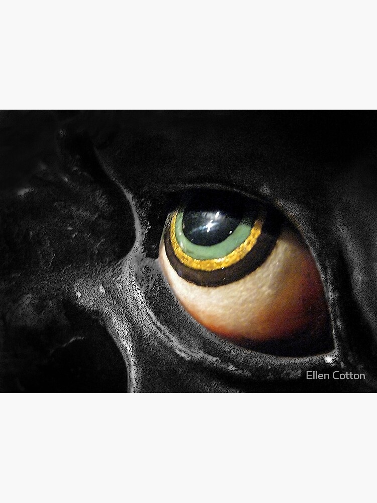 The Eye by ellcot