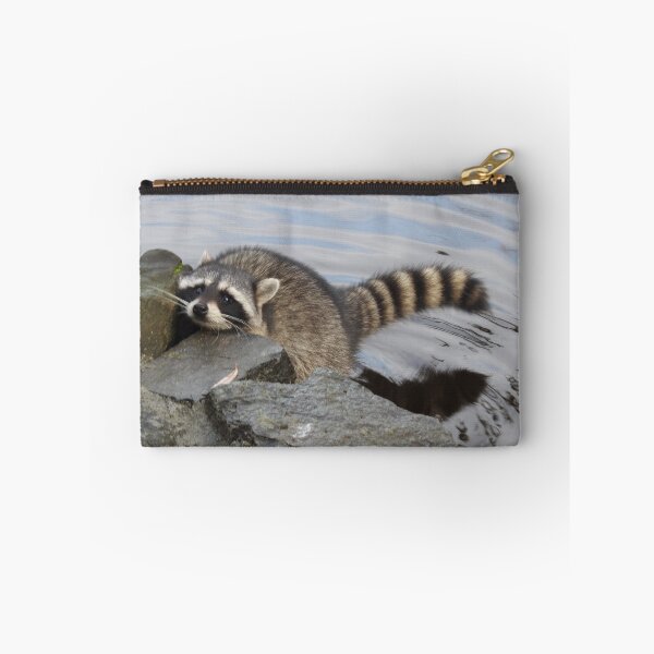 Item preview, hi have any food for a hungry raccoon? designed and sold by RichImage.