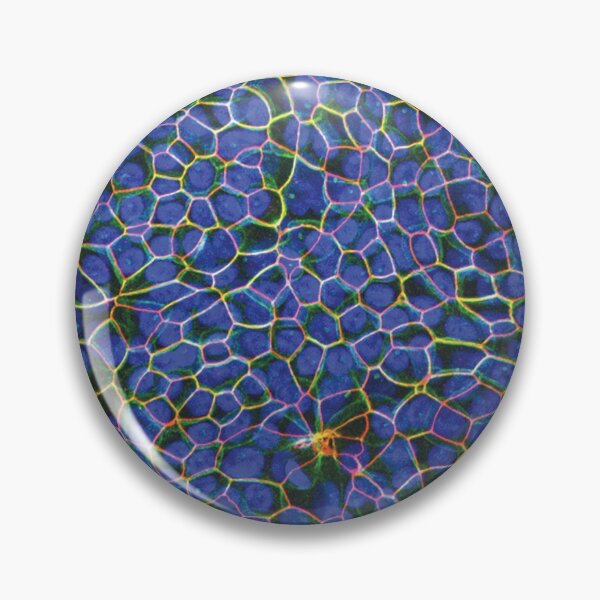 Item preview, Epithelial Lung Cells, Blue (fluorescently labeled, jammed) designed and sold by SarinaMitchel.