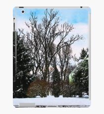 Trees in Snow iPad Case/Skin