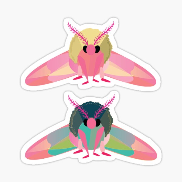 Fluffy Poodle Moth and Pink Lemonade Moth Sticker Set of 2 / Rosy Maple Moth  Sticker / Fluffy Moth Sticker / Laptop Sticker / Vinyl Stickers 