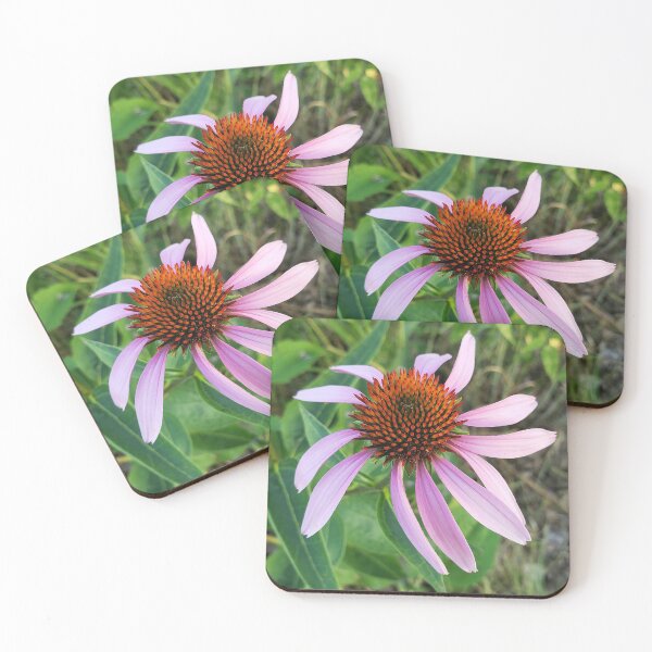 Item preview, Purple Coneflower designed and sold by rvjames.
