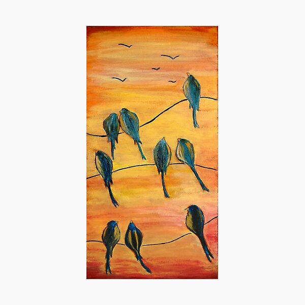 Birds On Wires Photographic Print