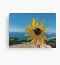 Critter Paradise Canvas Print