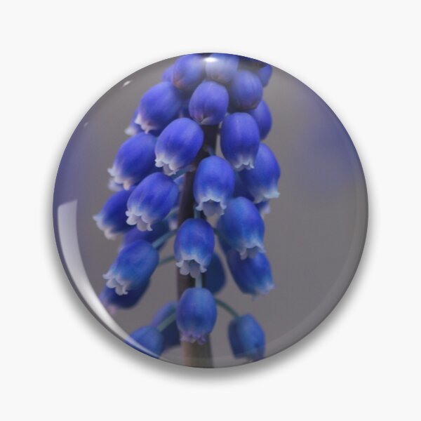 Item preview, Pearls of Blue designed and sold by Lozzar Flowers & Art.