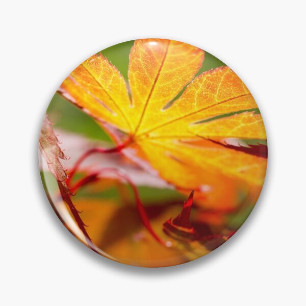 Item preview, Autumn Acer Leaf in Orange and Red  by heidiannemorris ©️  designed and sold by FOLK ART FUSION by heidiannemorris.